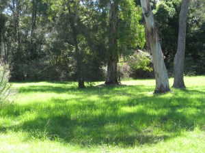 this beautiful earth 