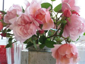 they're not yellow, but they sure are beautiful.