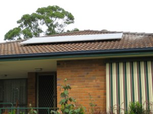 Suit the house, don't they?