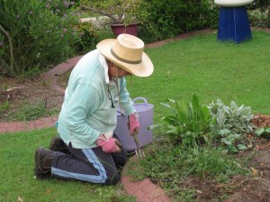 That's more like it!