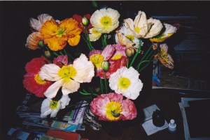 a Spring bouquet to cheer me up.