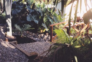 the beginnings at Tarbuck