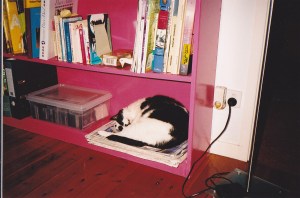 Pusska liked to keep some books handy, just in case she couldn't sleep.