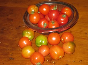 Harvest from the garden.