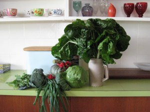 Shared bounty from a friend.